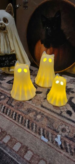 Halloween 3 pc lightup cats