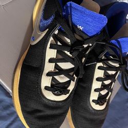 Lebron 20 “uninterrupted”