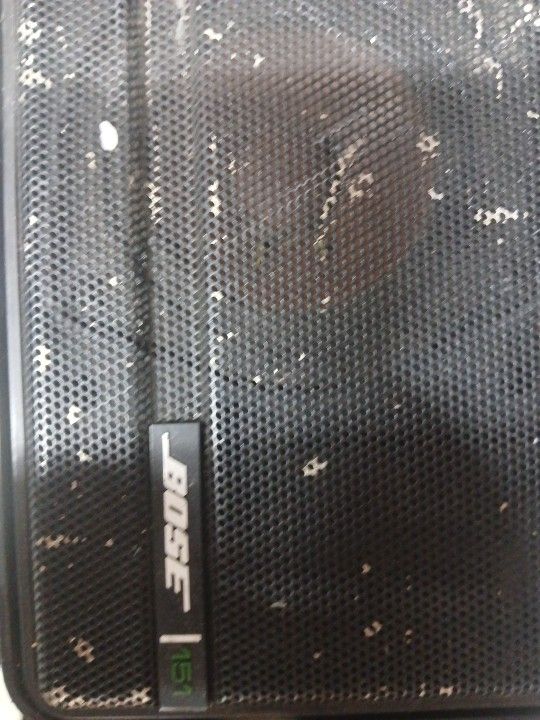 Bose Indoor/outdoor Weatherproof Speakers Pair