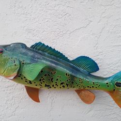 Peacock Bass Fish Mount 