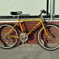 Diamondback Ascent Adventure Mountain Bike