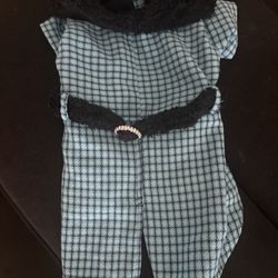 Dog Outfit 