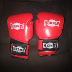 14 Oz Boxing Gloves Pro Combat