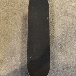 Dogtown Skateboard 