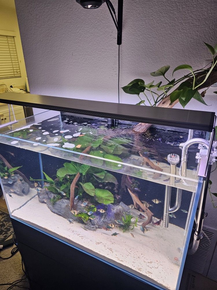 Aquarium Lights