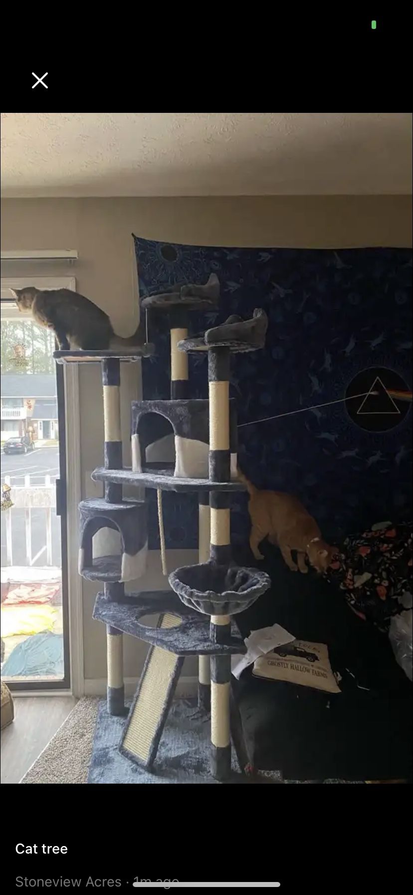 Cat Tree