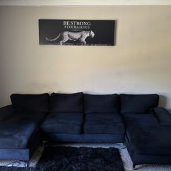 Black Suede Couch 