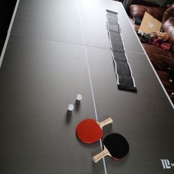 Ping Pong Table 