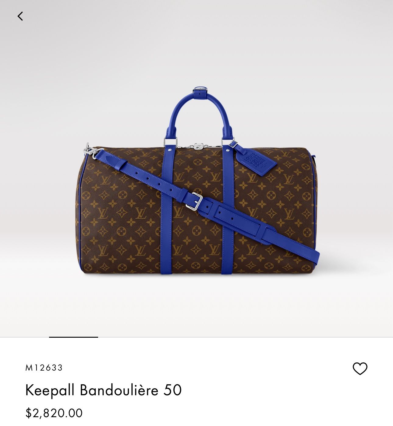 Louis Vuitton Bag