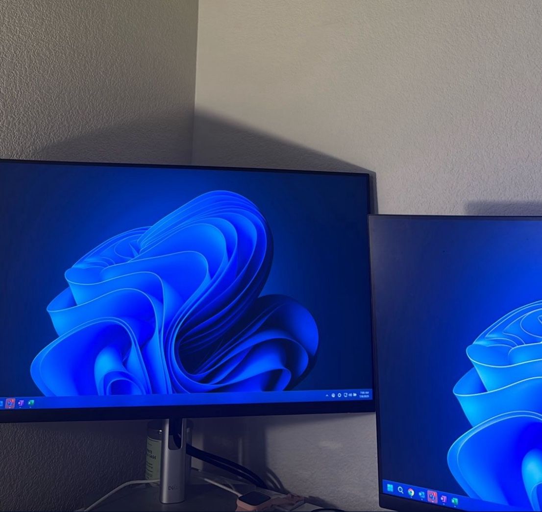 Dell Monitors