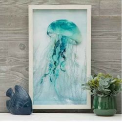 Jellyfish Picture 