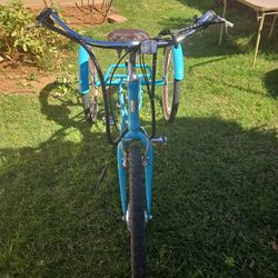 Beach Cruiser