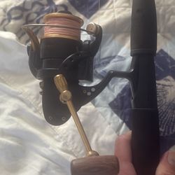 Shakespeare Fishing Rods