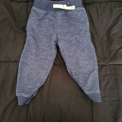 Toddler Pants