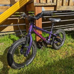 Norco Roller 14  - Rad Kids Bike!