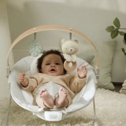 Soothing Baby Bouncer