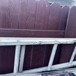 Aluminum Ladder 