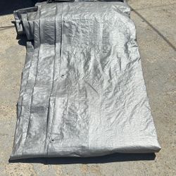 Tarp