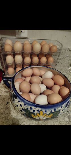 Huevos organicos