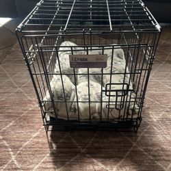 Dog Crate With Padding - Dimensions In Photos