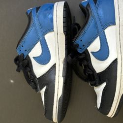 Nike dunks 