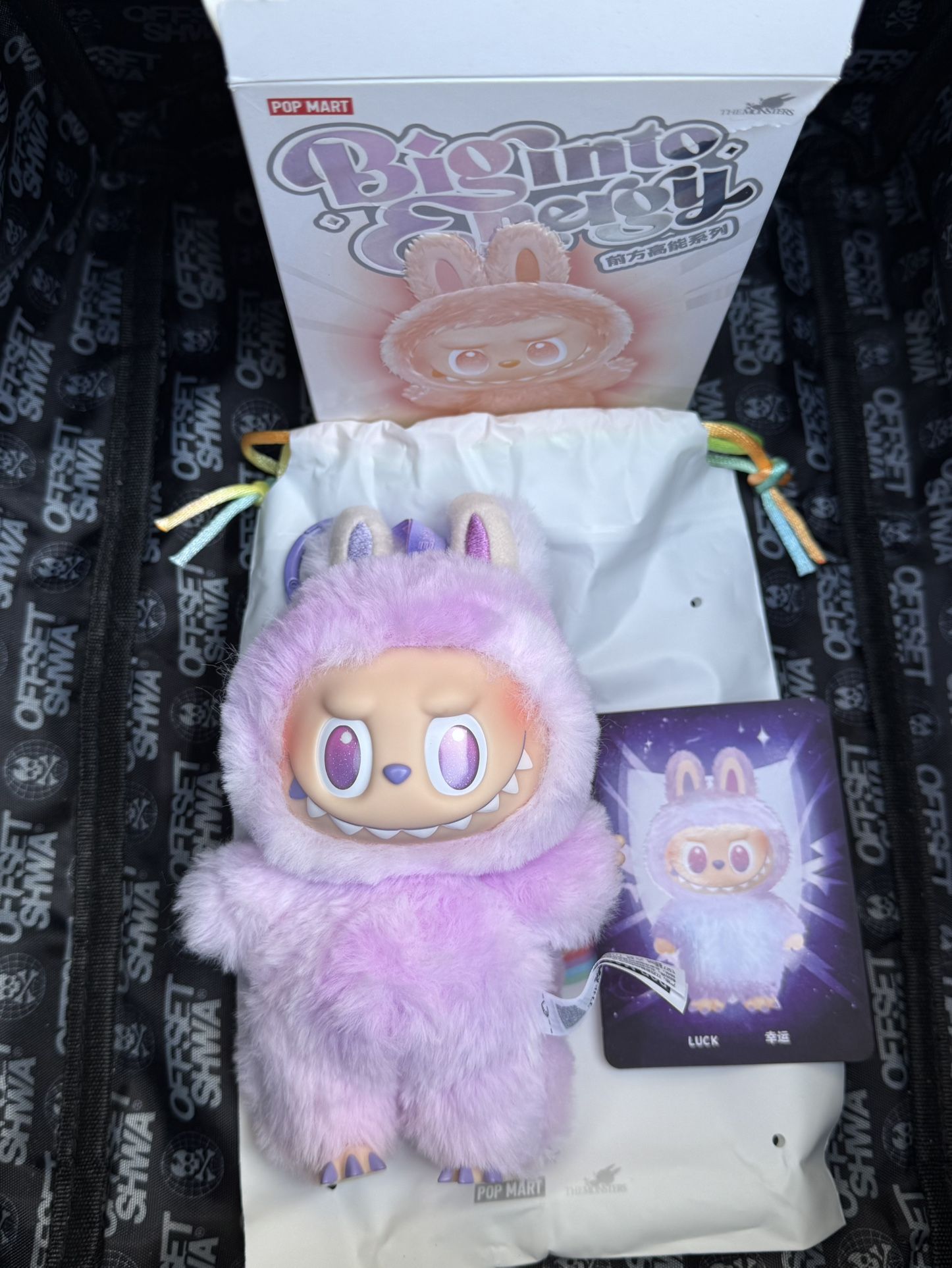 Open Box Labubu