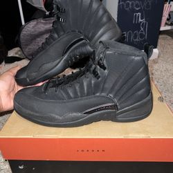 Jordan 12