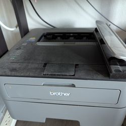 Brother Laser Printer HL-L2300D