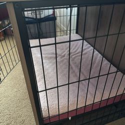 Dog Kennel 