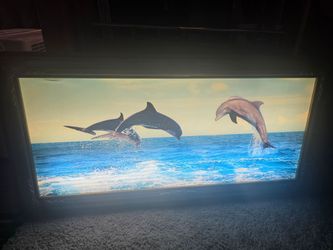 Vintage Luminated Dolphin Wall Art