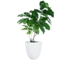 Set of 3 Wall Planters