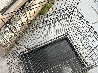 Animal/Rabbit/Guinea Pig - Kennel/Cage
