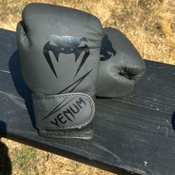 Venum Boxing Gloves 8oz