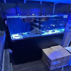 writer find High-Quality Aquarium System - Premium Standard Choice