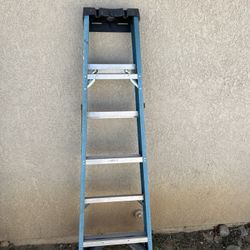 6 Foot Ladder