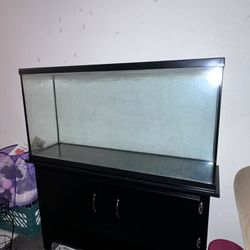 79 Gallon Fish Tank With Stand