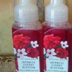 B&B Foam Soap Both 