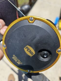 Penn Squall50lw