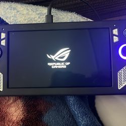 Rog Ally 
