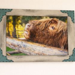 39” X 27 1/2” Highland Cow Canvas Print