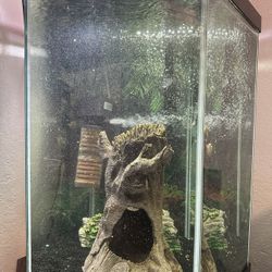 fish tank 