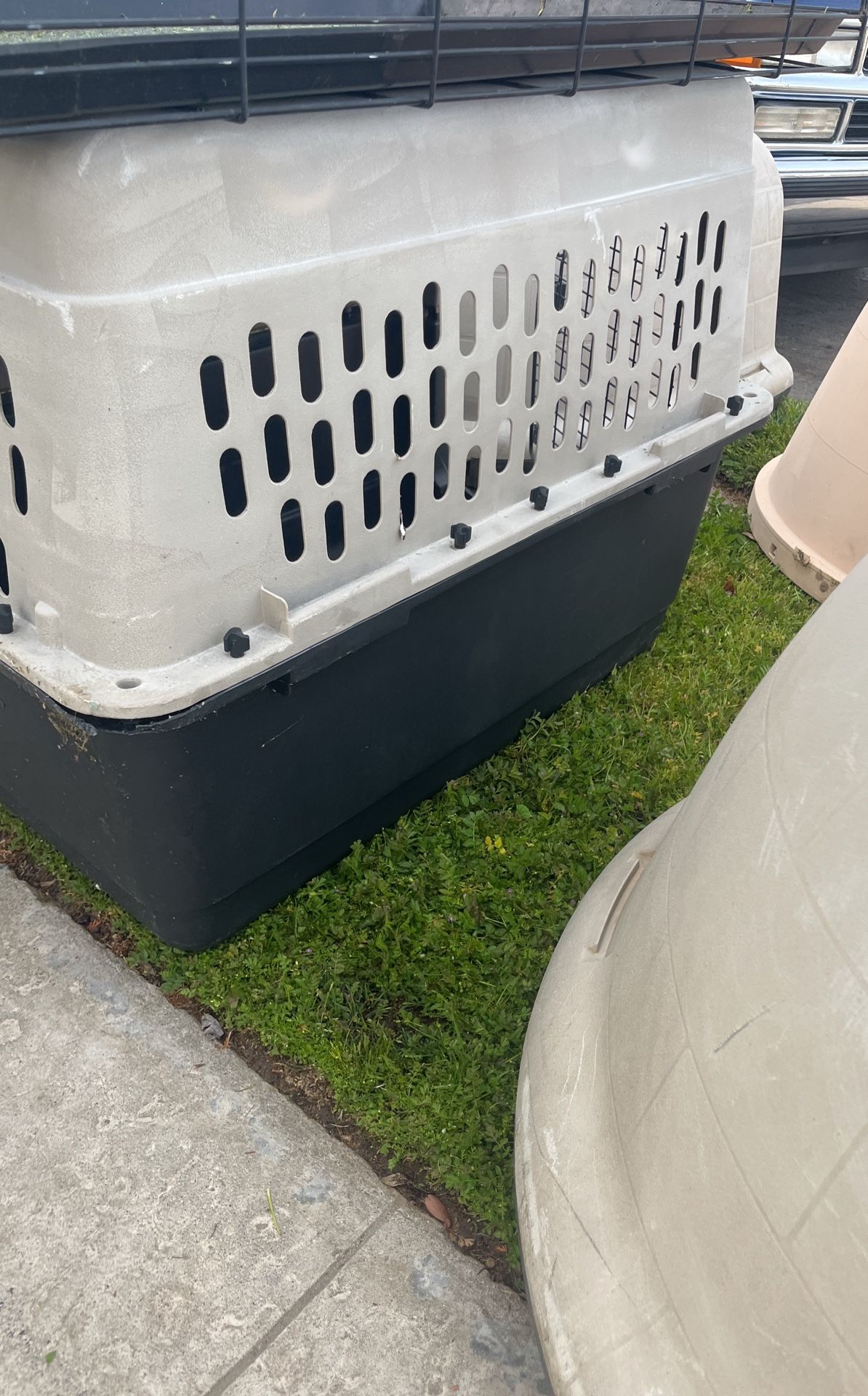 Dog House