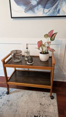 Vintage Mid-Century Modern Bar Tea Coffee Cart Rolling / Plant / Record Stand MCM - Danish Modern