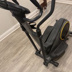 Stride Trainer 350i