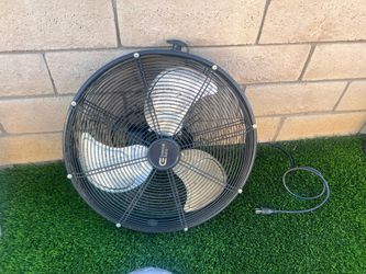 Big fan