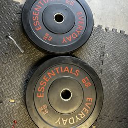 55 Lb Bumper Plates