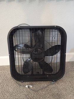 Fan