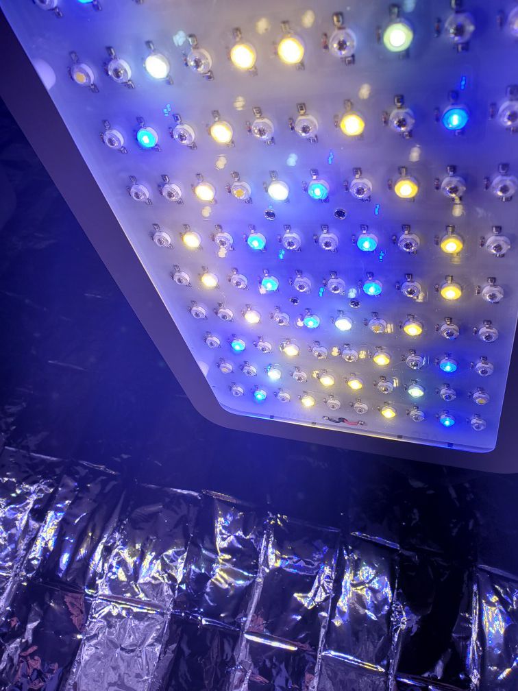 Giixer 1000 watt grow lights