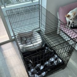 XL Dog crate