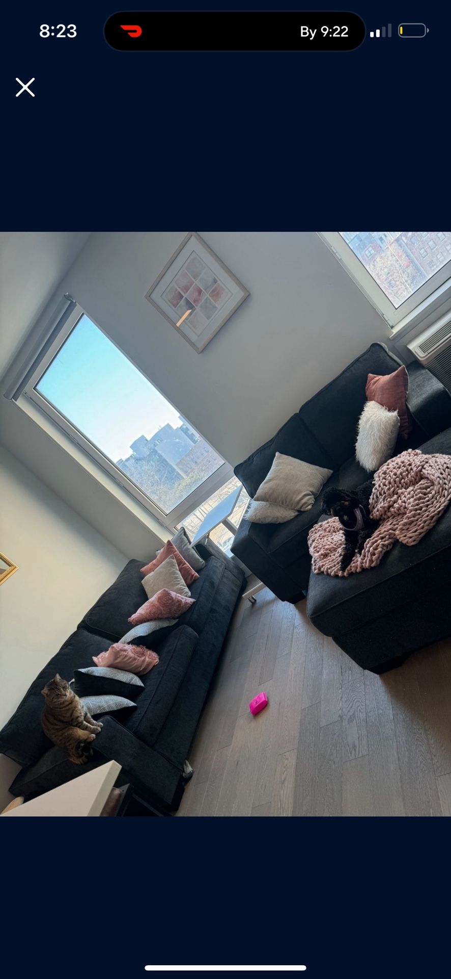 Couches Available